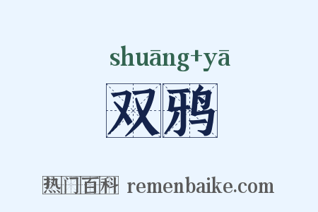 双鸦是什么意思的图片